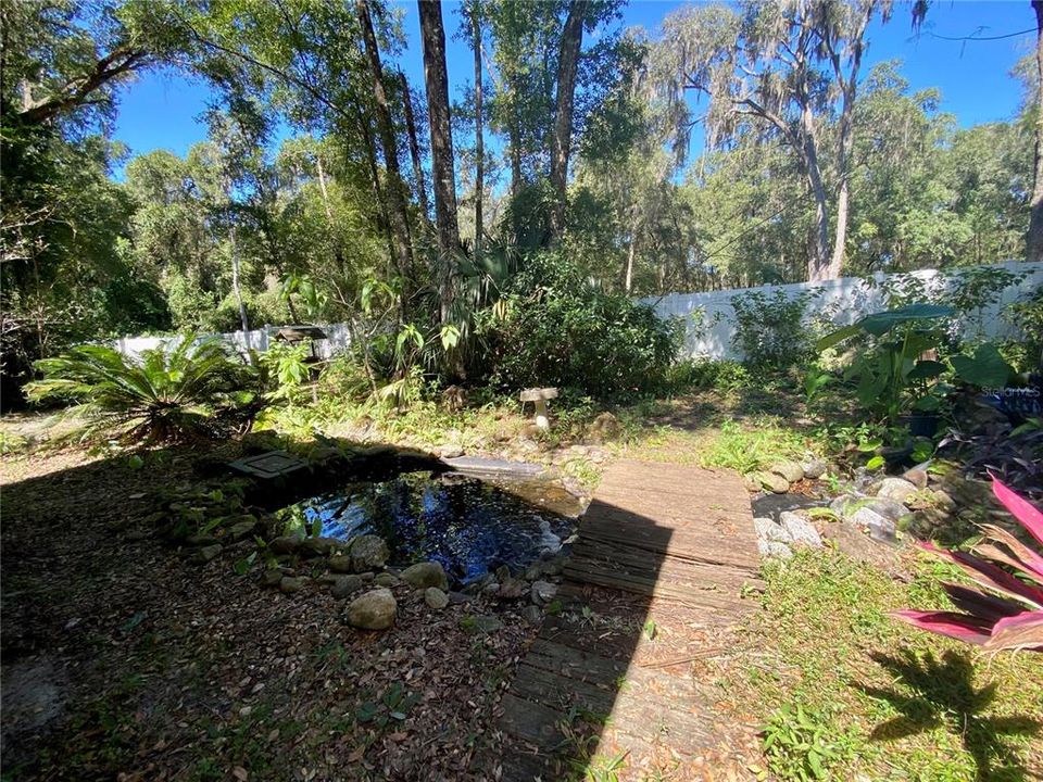 Backyard water feature