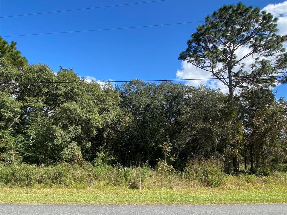 Recently Sold: $39,900 (0.52 acres)