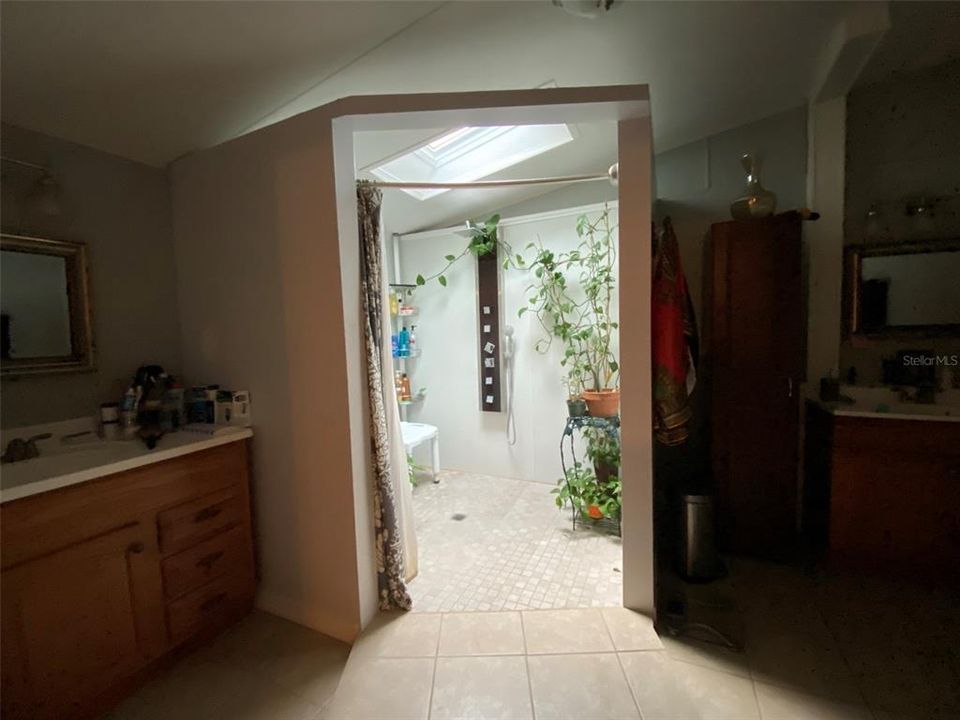 Naturally-lit master shower -skylight