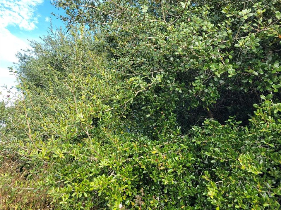 Recently Sold: $65,000 (0.23 acres)
