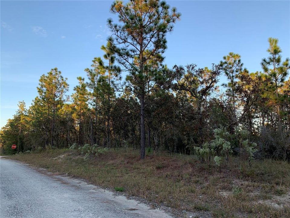 Recently Sold: $29,900 (2.00 acres)
