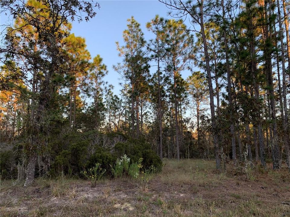 Recently Sold: $29,900 (2.00 acres)