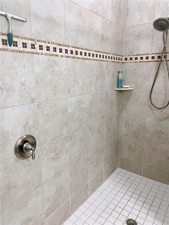 Upgraded Shower