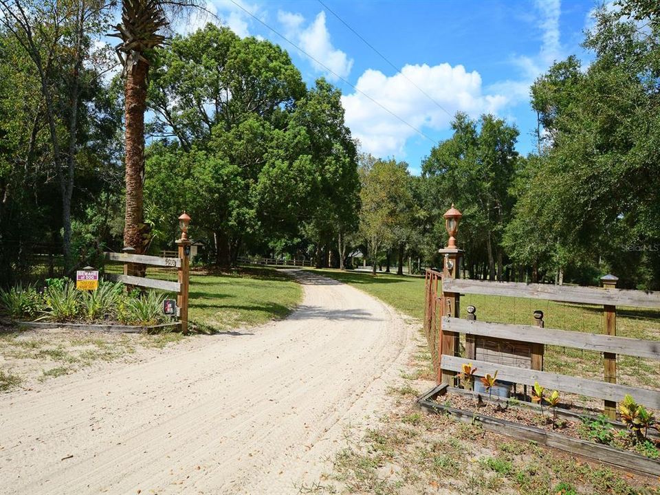 Front Gate with Security