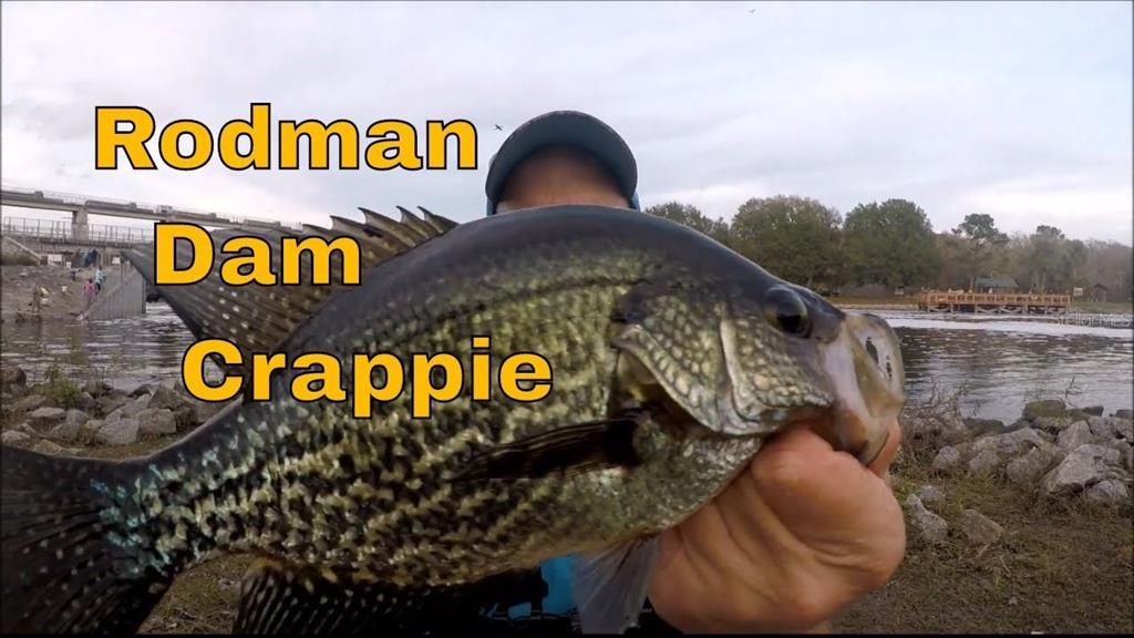 Rodman Dam Fishing