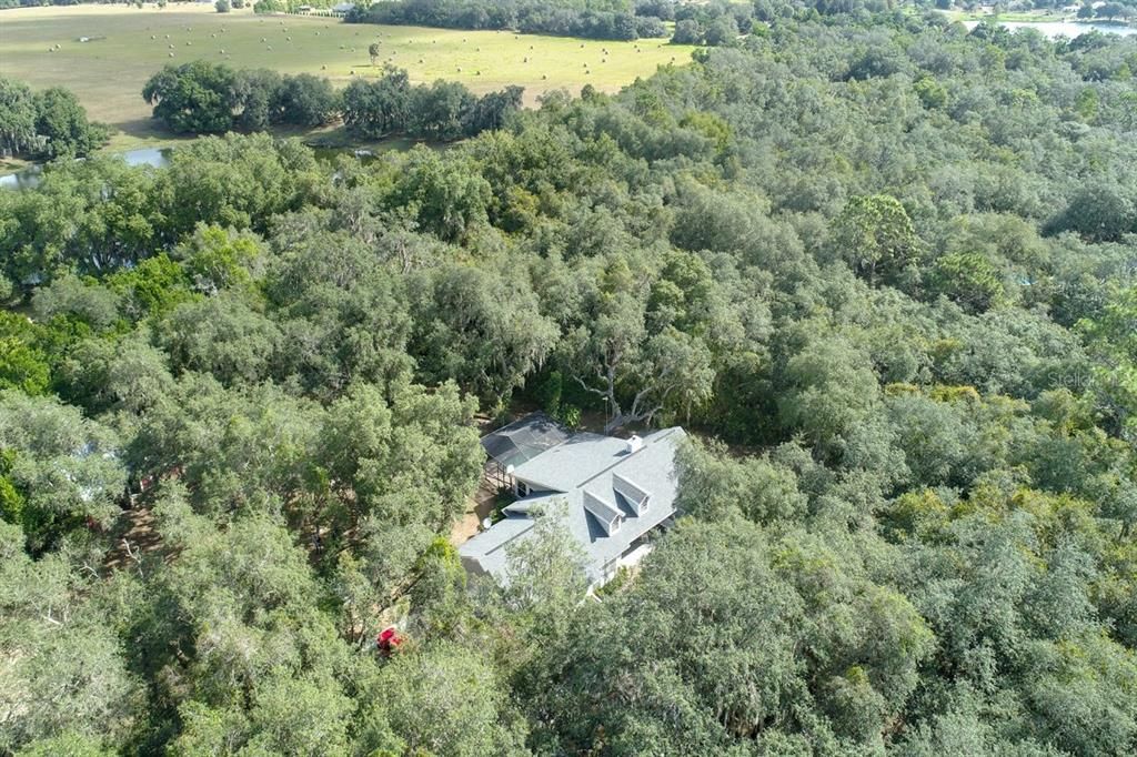 Aerial home nestled in the trees