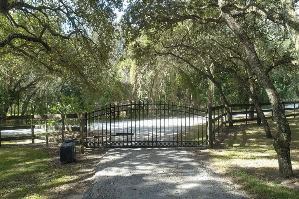Driveway with gate