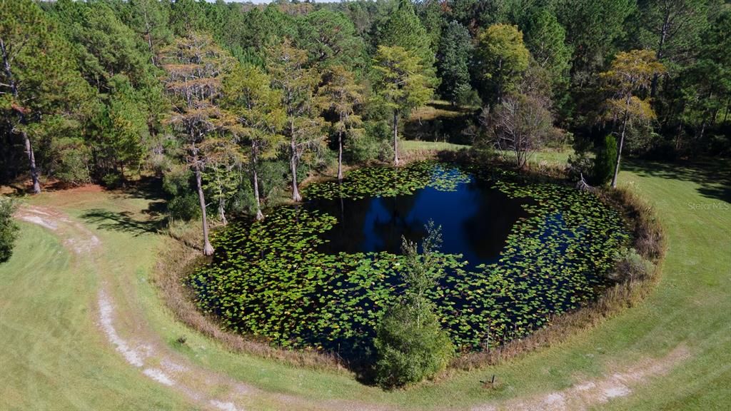 Недавно продано: $249,000 (19.84 acres)