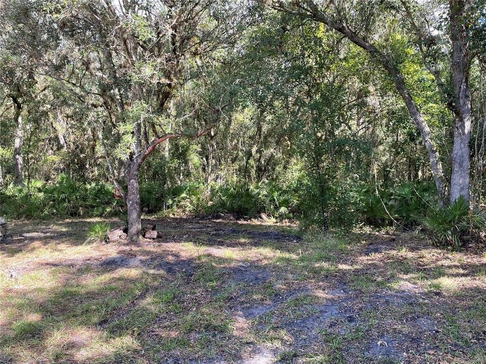 Recently Sold: $189,900 (10.00 acres)