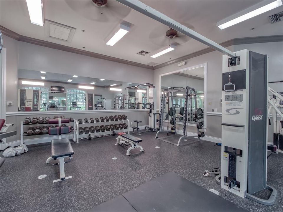 Several Varieties of Weight Lifting Equipment