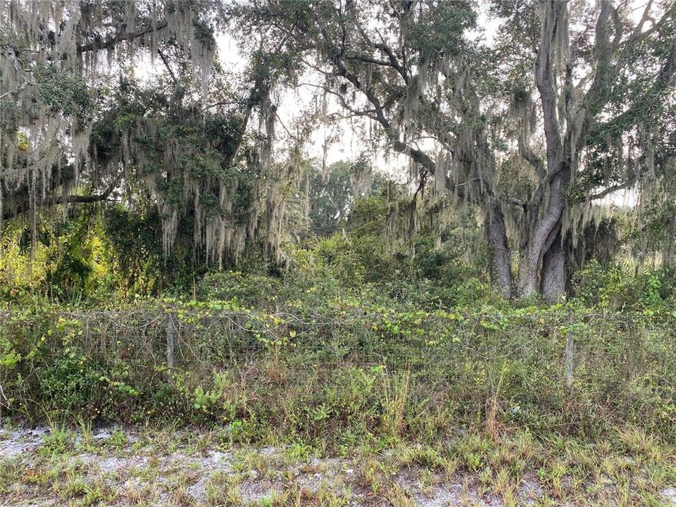 Recently Sold: $190,000 (5.20 acres)