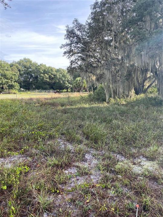 Recently Sold: $190,000 (5.20 acres)