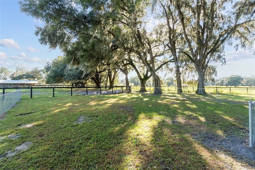 View of Paddocks & Barn