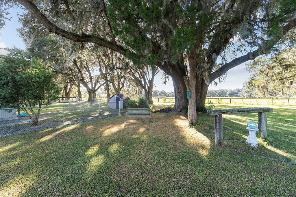 View of Back Yard