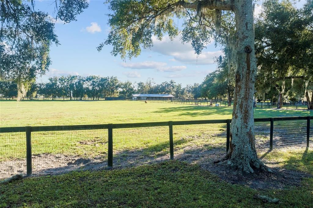 Barn & Pasture View