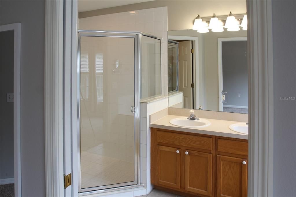 Master bathroom with large walk-in shower.