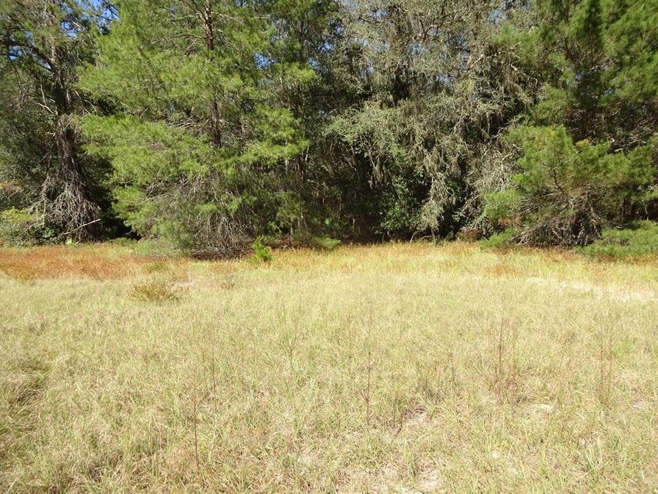 Recently Sold: $179,900 (11.45 acres)