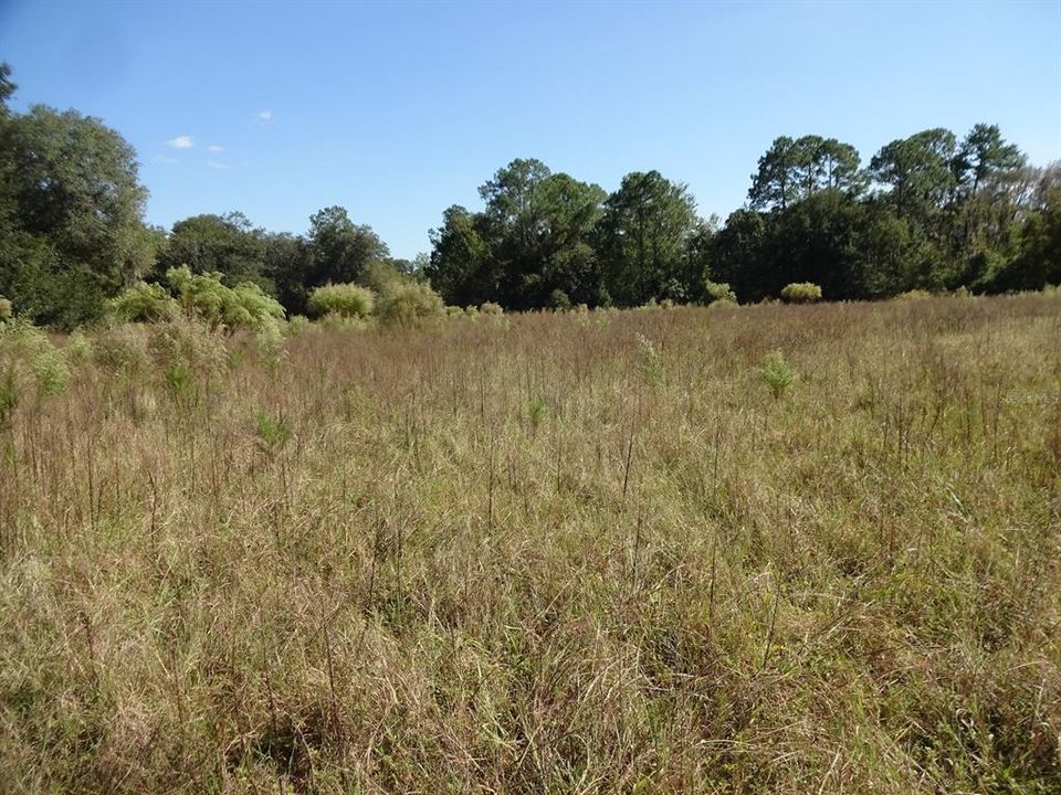 Recently Sold: $179,900 (11.45 acres)