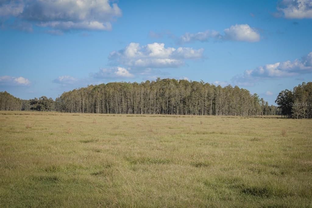 Recently Sold: $822,400 (82.24 acres)