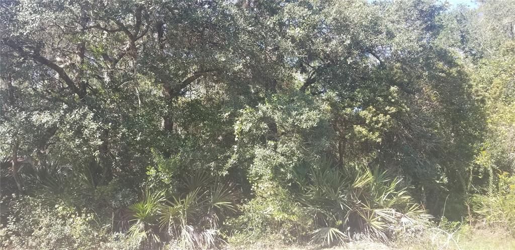 Recently Sold: $8,000 (0.16 acres)