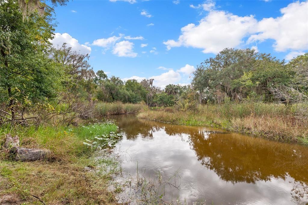 Looking for peaceful views? This Home sits on 1.58 acres and back of the property is bordered by Lake Reedy Creek