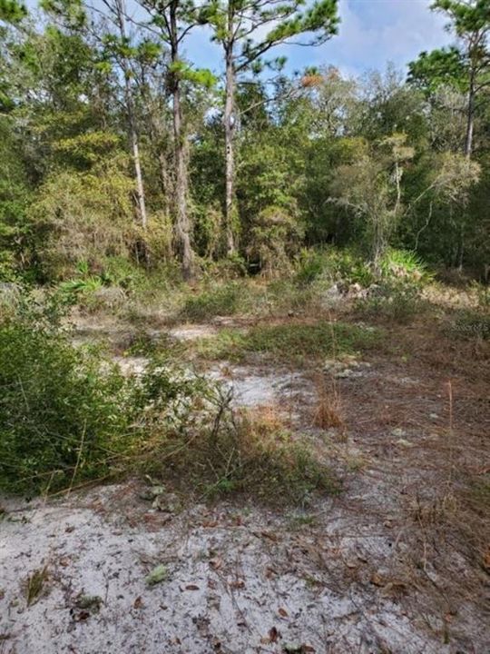 Recently Sold: $27,000 (1.12 acres)