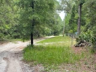 Recently Sold: $20,500 (1.25 acres)