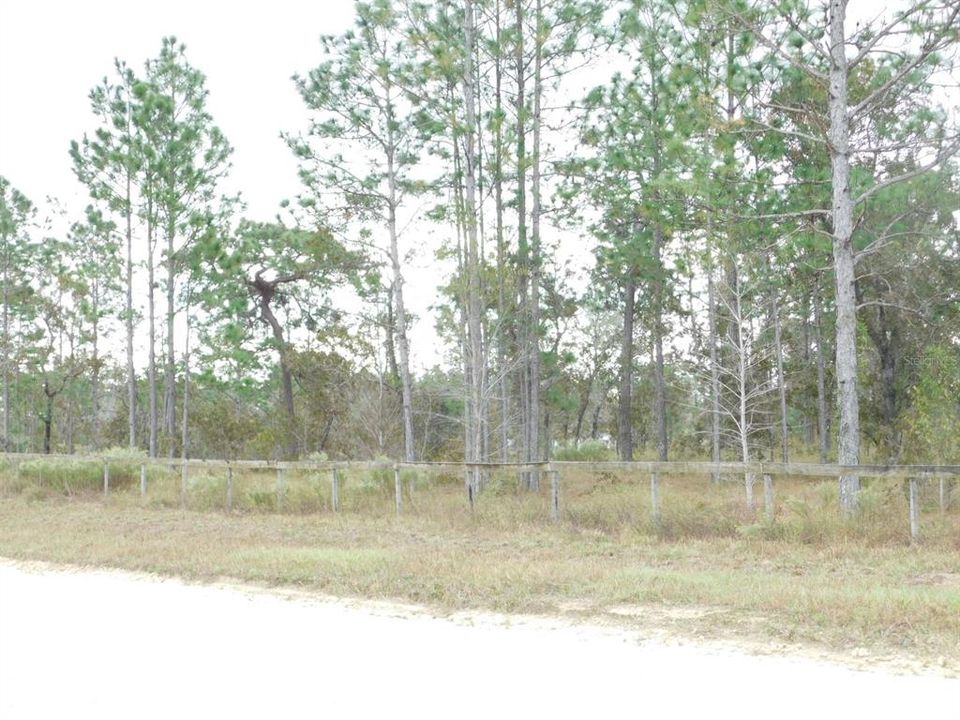 Approx. 5 Acres in Triple Crown Farms