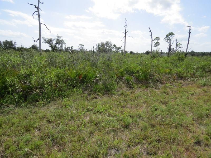 Vendido Recientemente: $29,000 (2.02 acres)