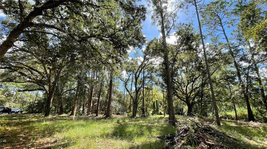 Recently Sold: $35,899 (0.23 acres)