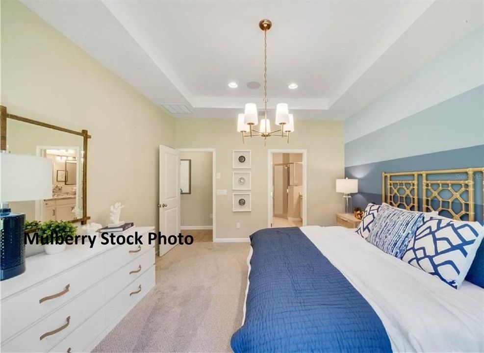 Mulberry Stock Image not actual home.
