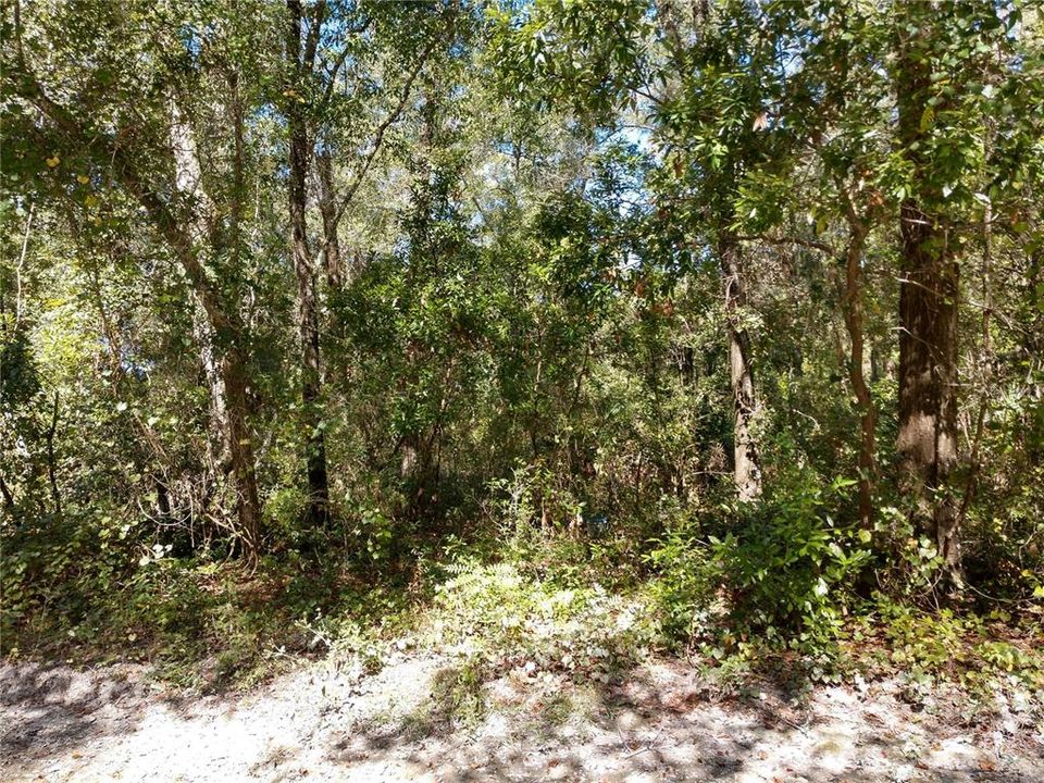 Recently Sold: $17,900 (0.91 acres)