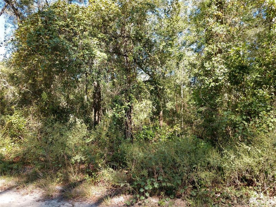 Vendido Recientemente: $17,900 (0.91 acres)