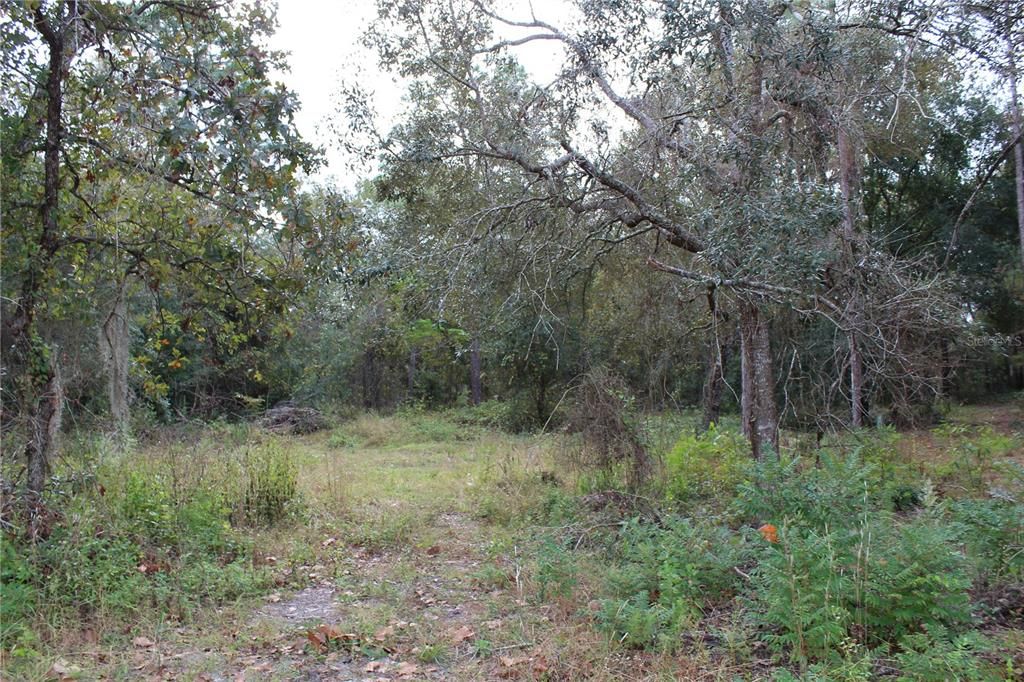 For Sale: $29,000 (0.34 acres)