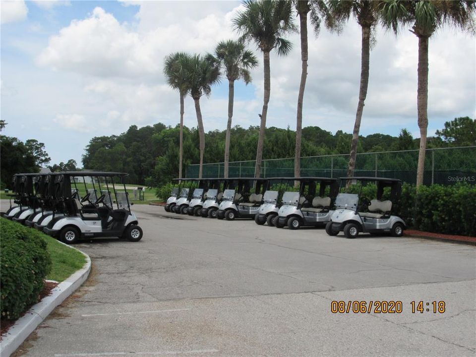 Plenty of Golf Carts!