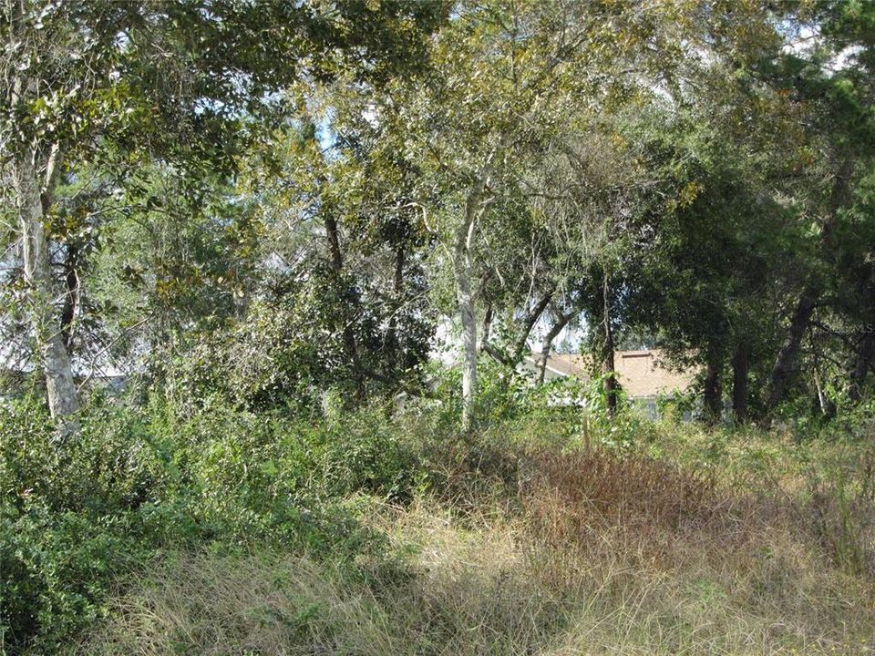 For Sale: $84,900 (0.17 acres)