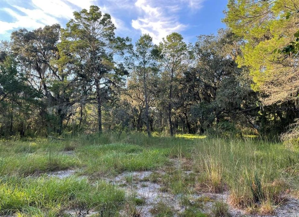 Recently Sold: $350,000 (7.88 acres)