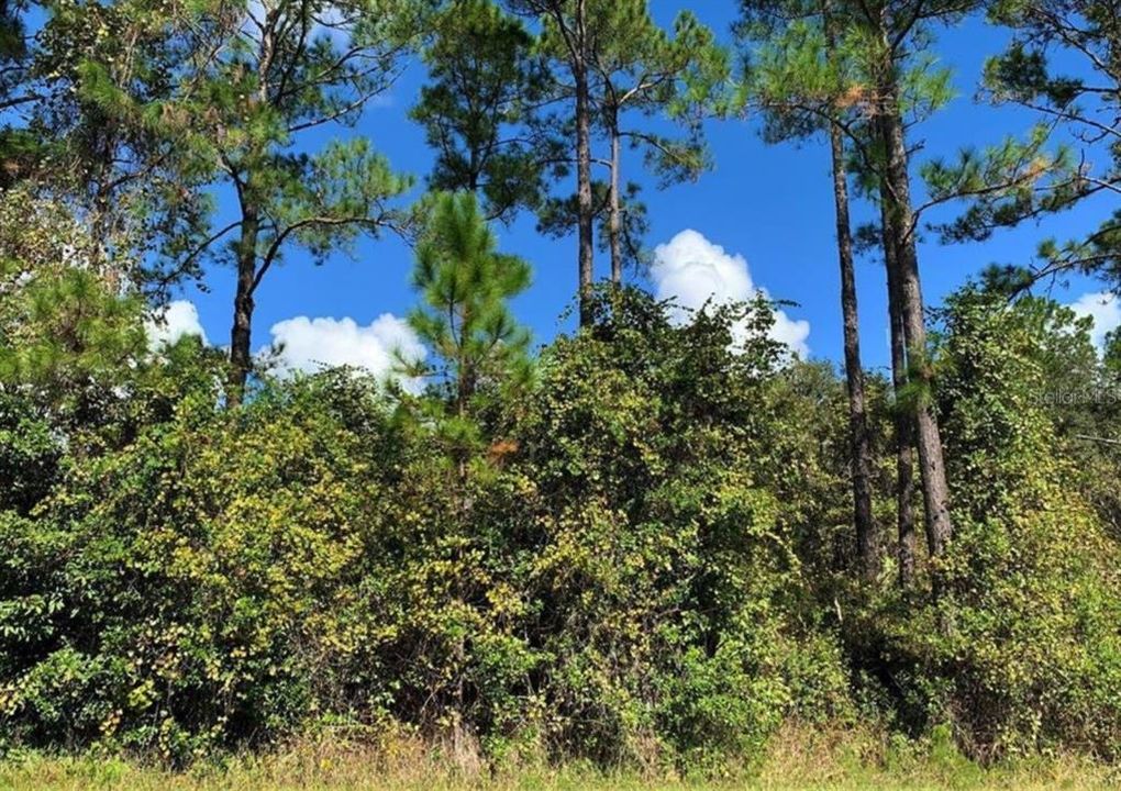 Recently Sold: $29,900 (1.00 acres)