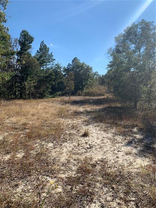 Recently Sold: $180,000 (20.00 acres)