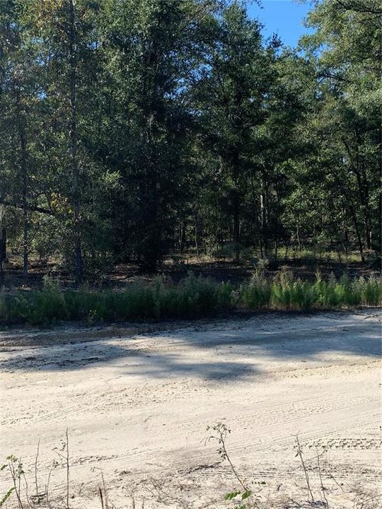 Recently Sold: $180,000 (20.00 acres)