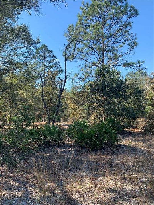 Recently Sold: $180,000 (20.00 acres)