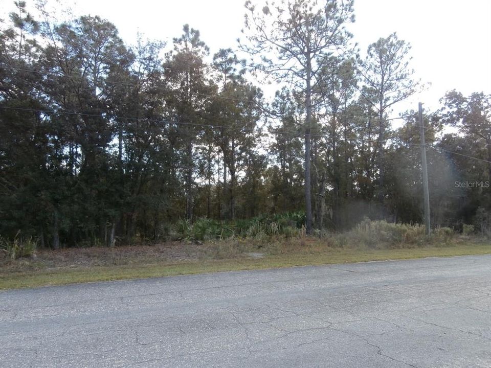 Недавно продано: $10,500 (0.23 acres)