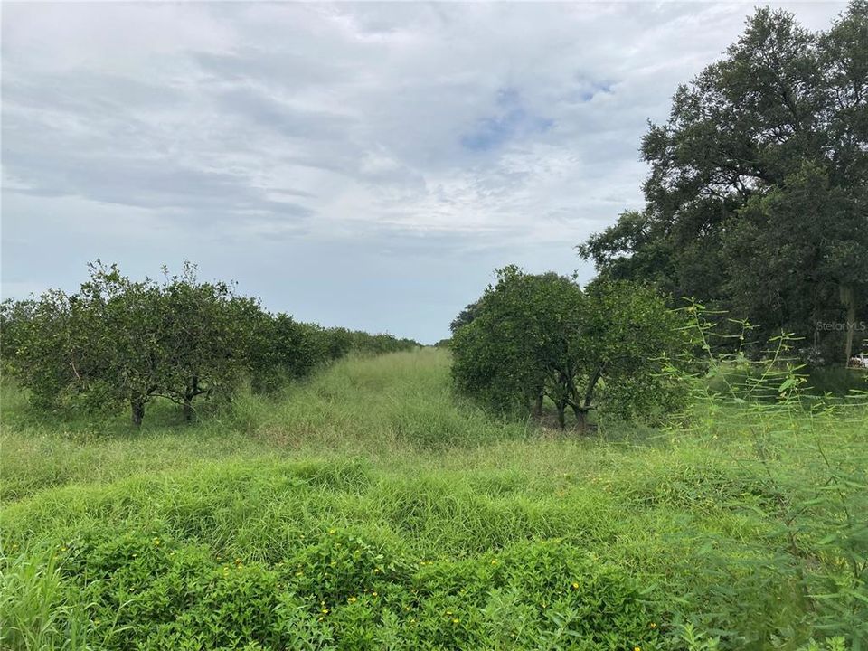 Recently Sold: $199,000 (14.60 acres)