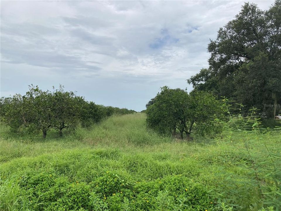 Vendido Recientemente: $199,000 (14.60 acres)