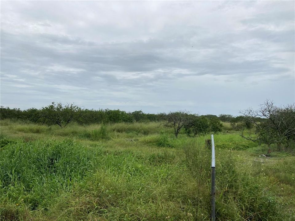 Recently Sold: $199,000 (14.60 acres)