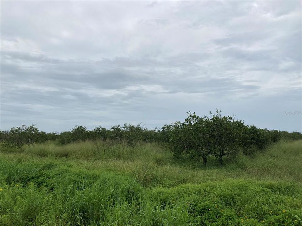 Vendido Recientemente: $199,000 (14.60 acres)