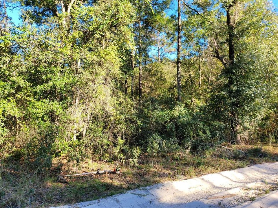 Recently Sold: $15,000 (1.25 acres)