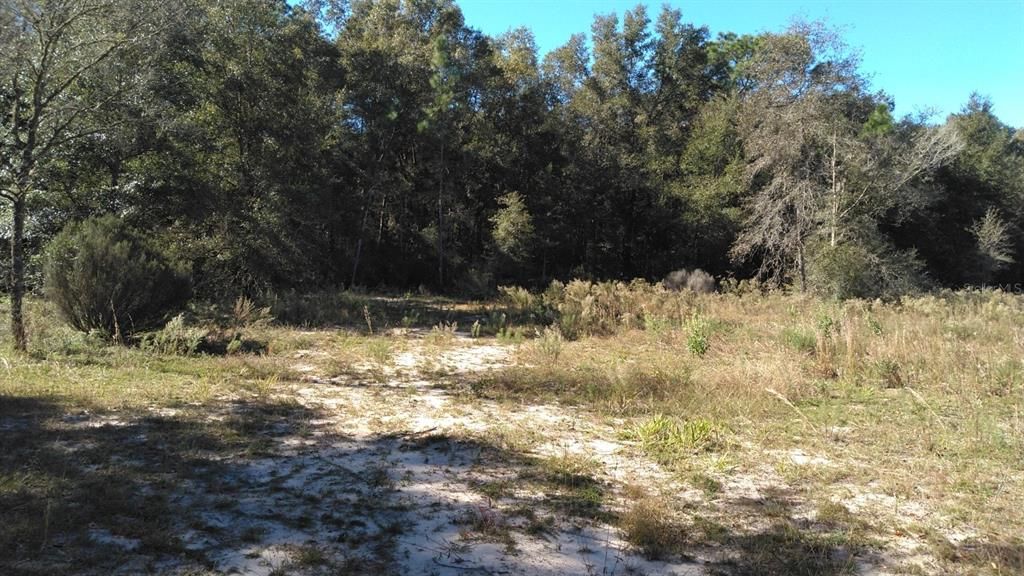 Recently Sold: $49,900 (7.50 acres)