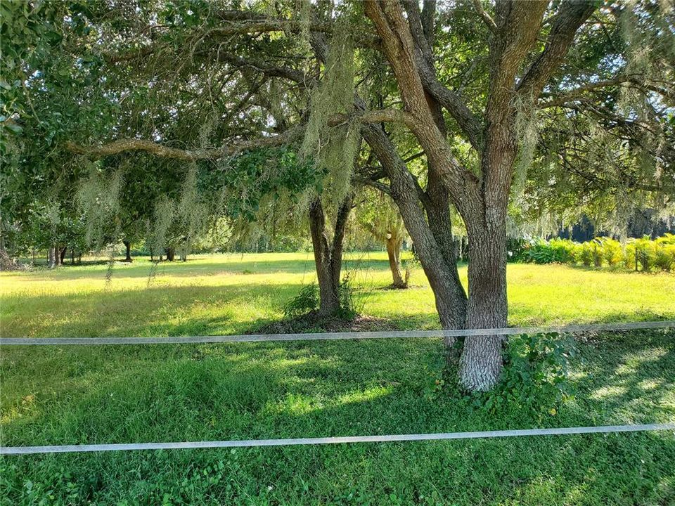 406 River Bed Court 1.03 acre Lot showing trees