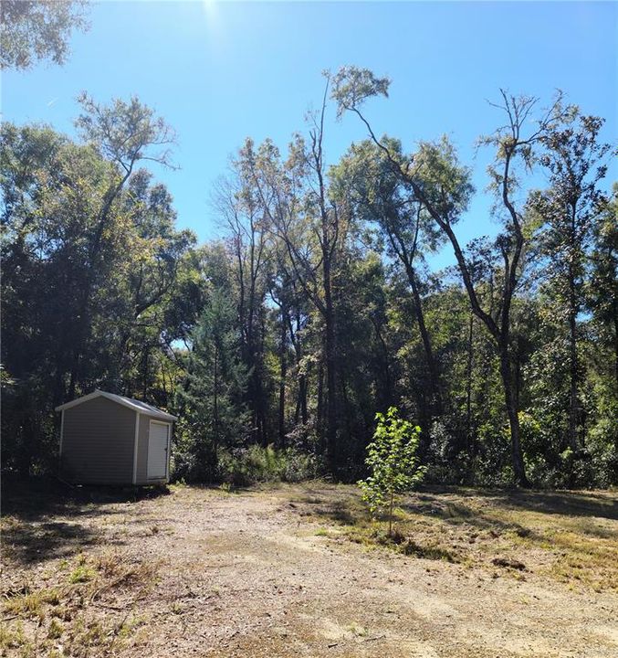 Left view of cleared property - utility shed
